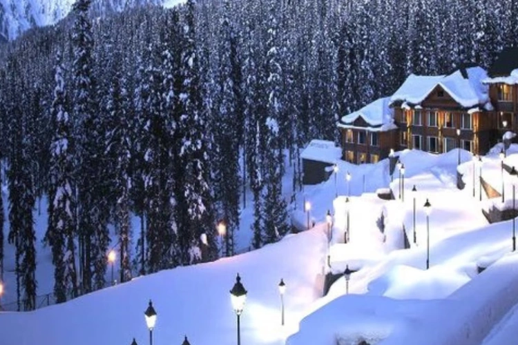 Planning a Winter Vacation in India? Discover These 5 Amazing Winter Wonderlands!