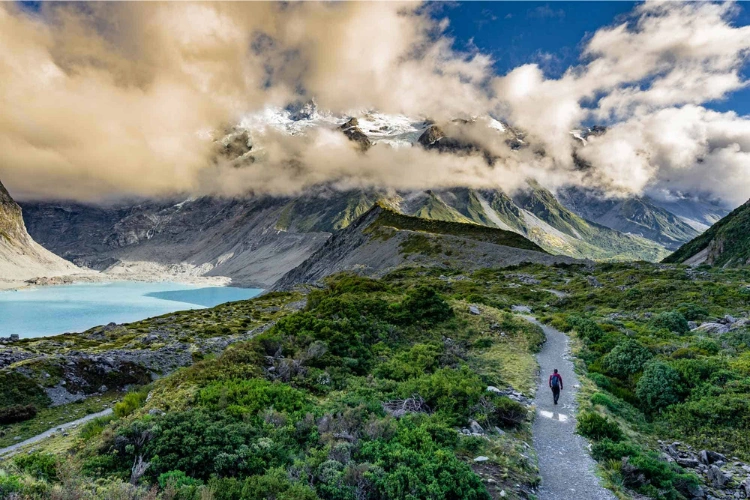 A Guide to the Best Hiking Trails in New Zealand